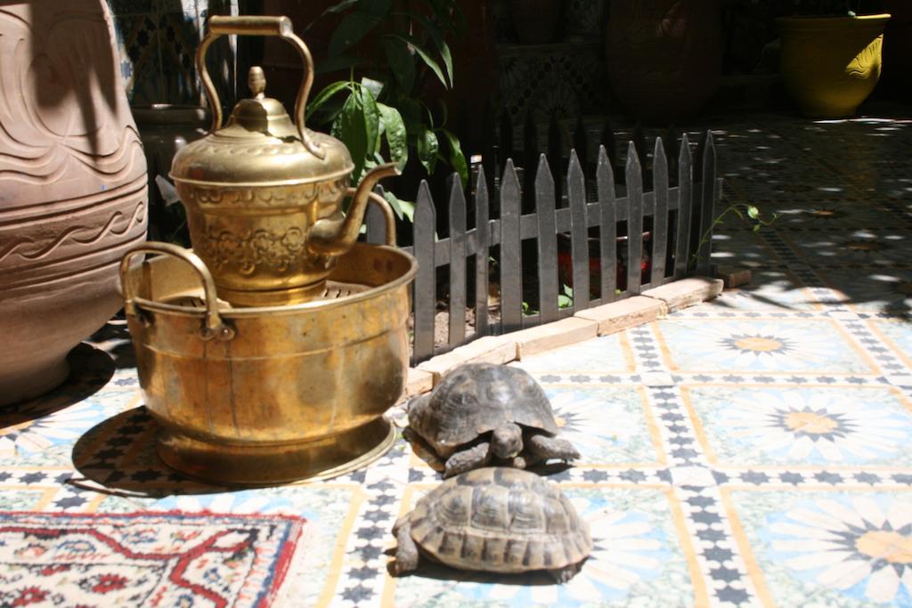 Riad Lalla Fatima Fès Exterior foto